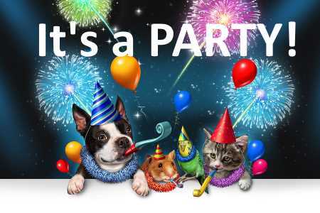 Anniversary Party animals celebrating